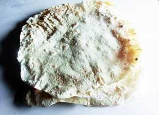 CIMG9146