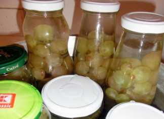 pofta-buna-gina-bradea-compot-natural-de-struguri-fara-conservanti.jpg (3)