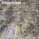 Saleuri Elena Jobes 150x150 - Saleuri fragede