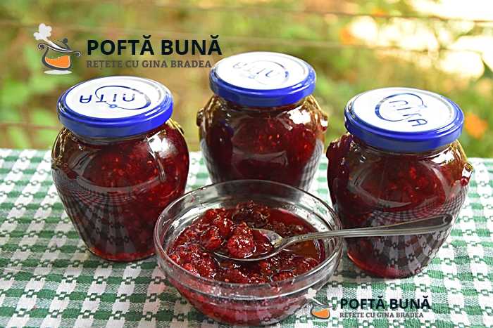 Dulceata naturala de zmeura Dulceata naturala de zmeura