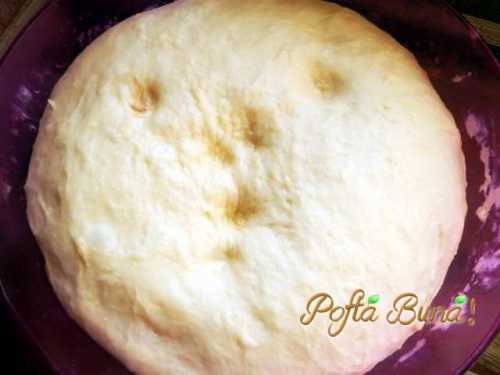 cornuri-pufoase-cu-aluat-dospit-pofta-buna-gina-bradea (1)