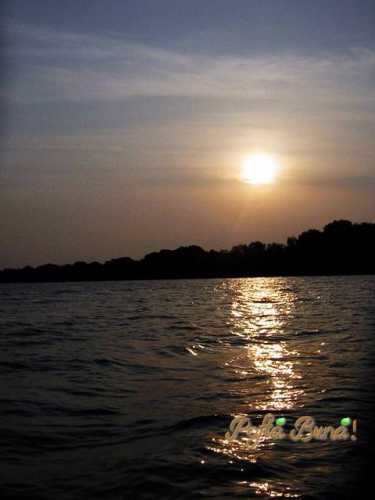 delta-dunarii-pofta-buna-gina-bradea. (2)