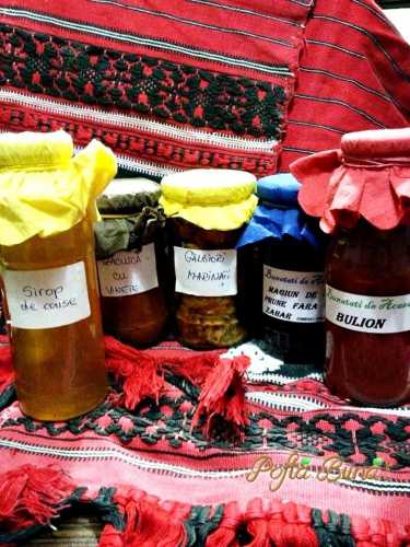pofta-buna-gina-bradea-concurs