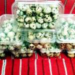 11005688_851172058262835_650335480_n 11005688_851172058262835_650335480_n