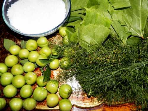 Frunza de vita de vie pentru iarna pofta buna cu gina bradea 6 500x375 - Frunza de vita de vie pentru iarna