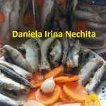Hamsii marinate Daniela Irina Nechita 150x150 - Peste marinat, macrou, scrumbie
