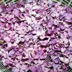 Sirop, colorant natural din maci, liliac sau soc