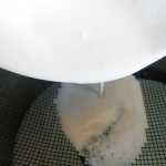 Sos alb, bechamel Sos alb, bechamel