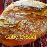 gaby orodel 150x150 - Paine de casa reteta simpla pas cu pas