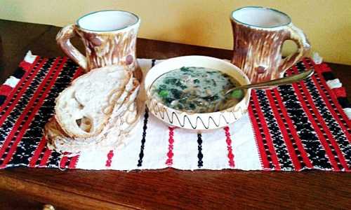 Zama de urzici-Maria Boboia