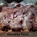 Prajitura Pandispan cu fructe Nicoleta Paun 150x150 - Prajitura pandispan cu fructe