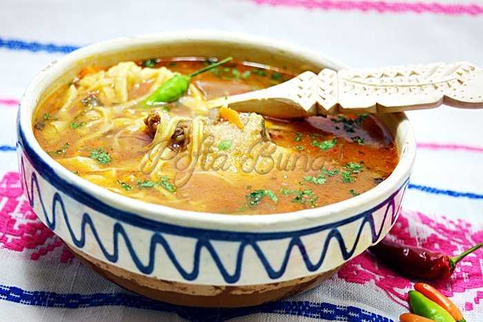 Bors moldovenesc de gaina cu taietei de casa Bors moldovenesc de gaina cu taietei de casa