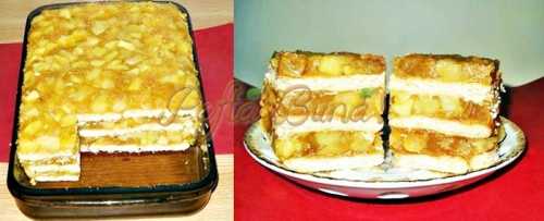 Prajitura cu mere si biscuiti si budinca (fara coacere)-Porceanu Gica