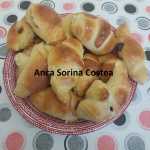 Cornuri cu gem Anca Sorina Costea 150x150 - Cornuri pufoase, dospite, cu gem