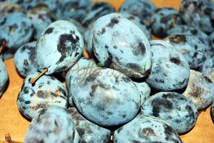 Gem de prune cu nuca, reteta asa cum o facea mama cand eram copil Gem-de-prune-cu-nuci-pofta-buna-cu-gina-bradea (6)