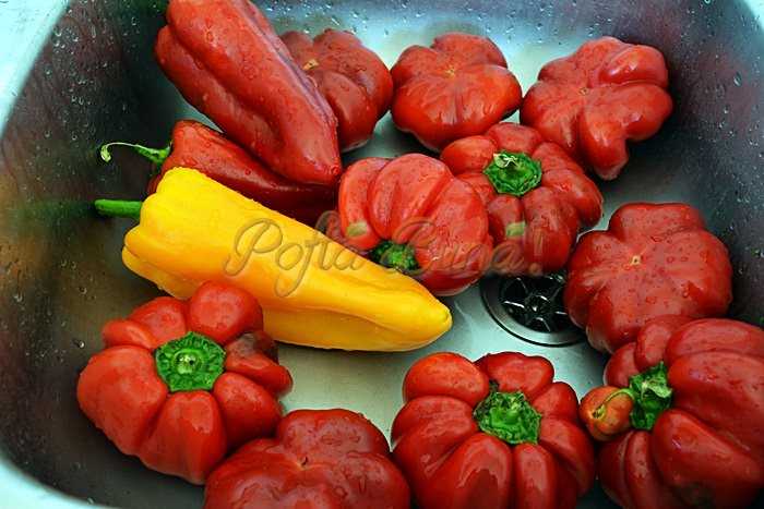 Gogosari in sos Gogosari in sos de mustar