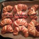 cornuri cu gem Stefania Alexandra Preda 150x150 - Cornuri pufoase, dospite, cu gem