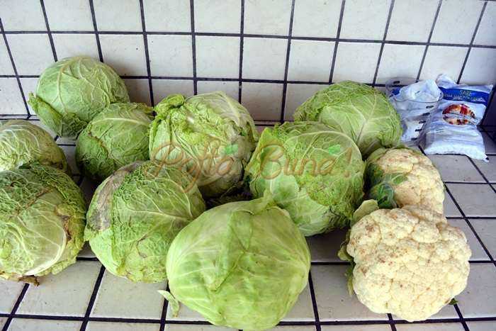 Cum se pune varza la murat Cum se pune varza la murat