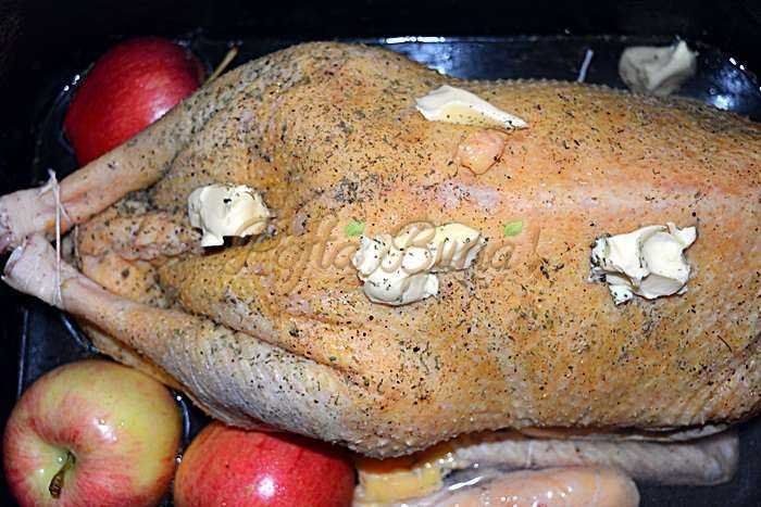 Gasca umpluta a la d′Artagnan Gasca umpluta a la dartagnan pofta buna cu gina bradea30 700x467 - Gasca umpluta a la d′Artagnan