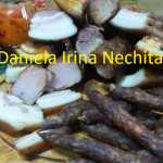 Afumaturi Daniela Irina Nechita 150x150 - Cum se face afumarea?