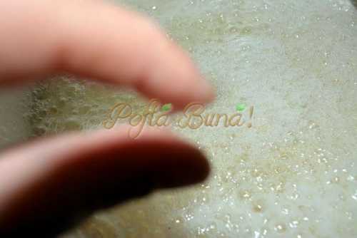 Dulceata de portocale felii