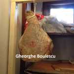 Prosciutto crudo (de Gheorghe Boulescu)
