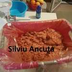 carnati Silviu Ancuta 2 150x150 - Carnati din carne de porc, vita sau amestec reteta traditionala