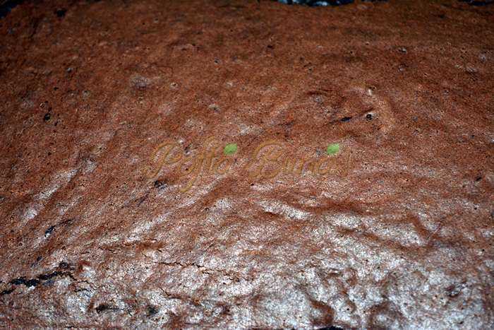 Prajitura pufoasa cu branza Prajitura pufoasa cu branza