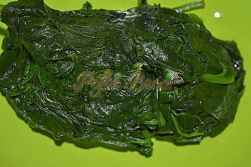 Paste scoici cu spanac si cascaval Paste scoici cu spanac si cascaval