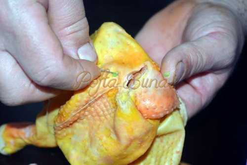 Pui umplut sau toba de pasare