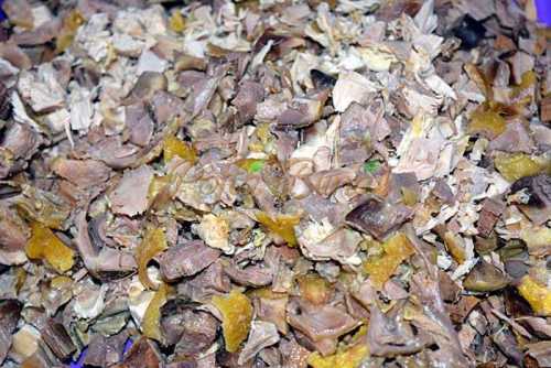 Pui umplut sau toba de pasare