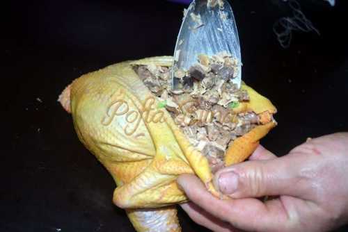 Pui umplut sau toba de pasare