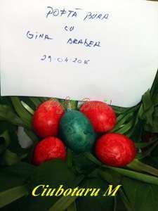 2e3c5217-4e6a-43c1-ac4c-6c163fc9a334