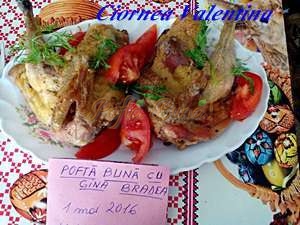 55c9cd2f-b3d0-4b28-b597-8768f568063b