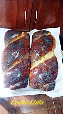 ceche lidia2 ceche lidia2