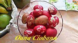 oana ciobanu oana ciobanu