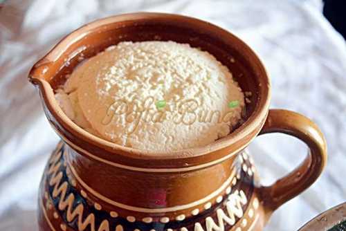 Cum se face branza de vaci de casa