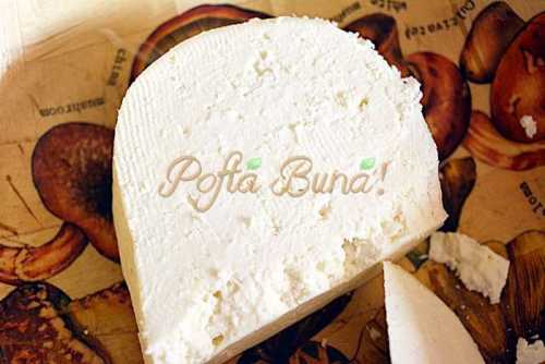 Saratele rapide cu branza Saratele rapide cu branza