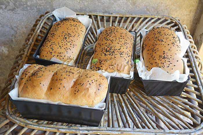  Paine pufoasa de casa, cu iaurt