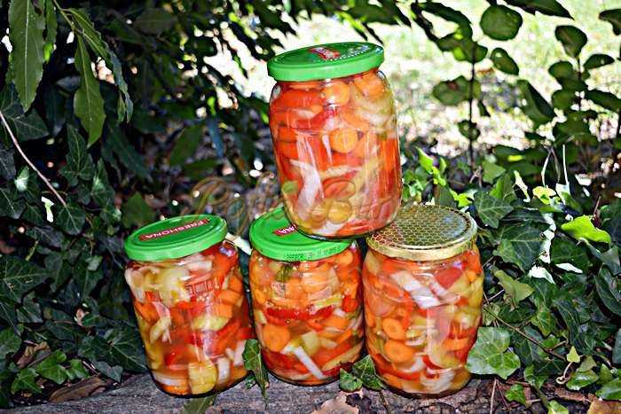 Salata de muraturi cu ardei, la rece Salata de muraturi cu ardei, la rece