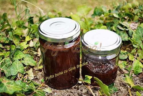 Gem de prune Gem de prune fara zahar, reteta simpla si rapida