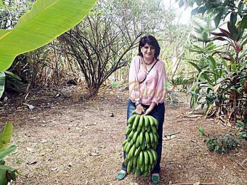 Nicoleta Sandulache, o romanca pe taram sud-american