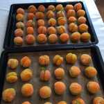 Fursecuri caise-piersici, fragede si aromate