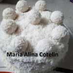 Prajitura Rafaello cu blat din albus Maria Alina Cotelin 150x150 - Prajitura Rafaello cu blat din albusuri si nuca de cocos