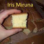 Tavalita cu nuca de cocos Iris Miruna 2 150x150 - Prajitura tavalita cu nuca si cocos - Lamington
