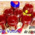 gigi vul 150x150 - Dulceata de capsuni reteta veche