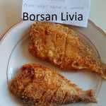 Borsan Livia 150x150 - Concurs pentru prietenii blogului „Pofta buna, retete cu Gina Bradea”