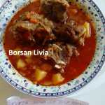 Borsan Livia 2 150x150 - Concurs pentru prietenii blogului „Pofta buna, retete cu Gina Bradea”