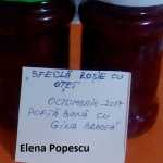 Elena Popescu 48 150x150 - Concurs pentru prietenii blogului „Pofta buna, retete cu Gina Bradea”