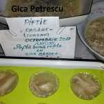 Gica Petrescu 44 150x150 - Concurs pentru prietenii blogului „Pofta buna, retete cu Gina Bradea”